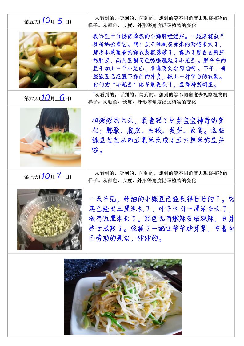 四年级上册语文习作三：培育绿豆芽观察日记2《写观察日记》4页