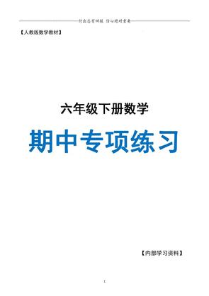 六年级下册数学期中专项练习人教40页