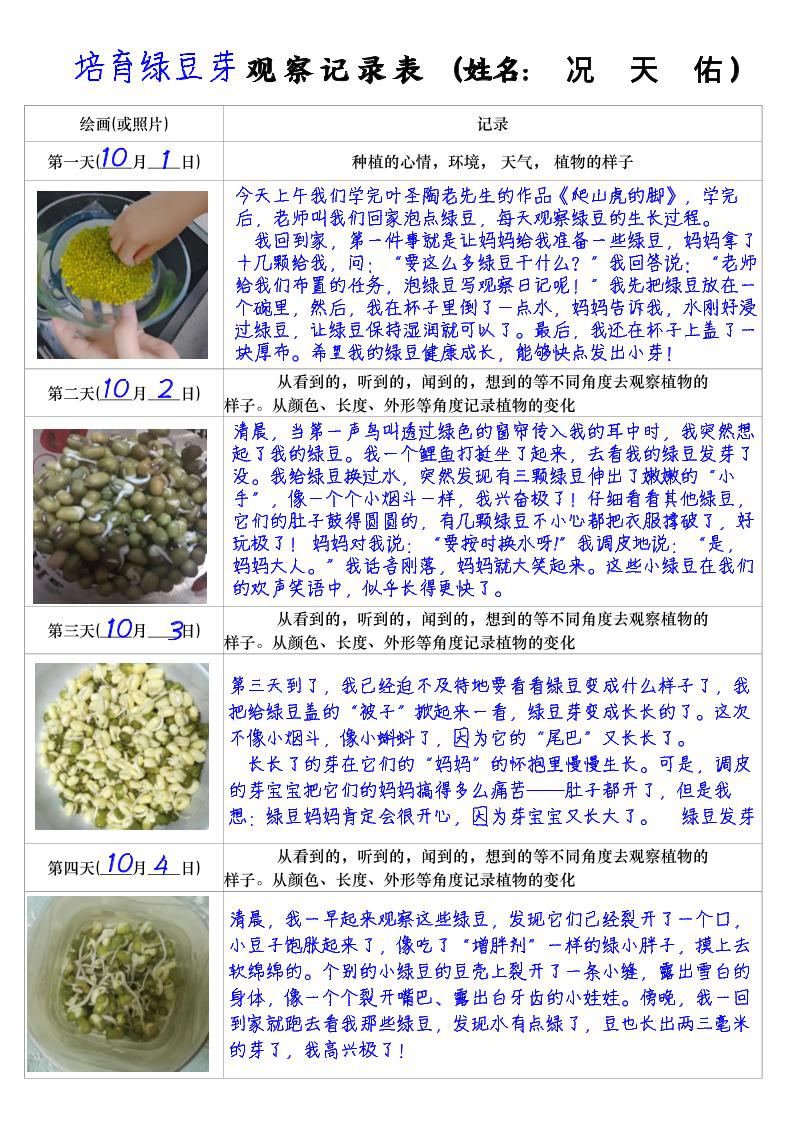 四年级上册语文习作三：培育绿豆芽观察日记2《写观察日记》4页